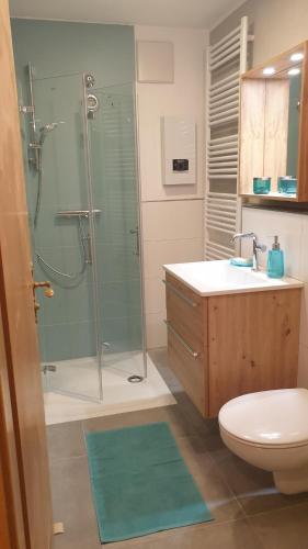 a bathroom with a shower and a toilet and a sink at Frisch renoviertes BergSeeNest in Bad Bayersoien