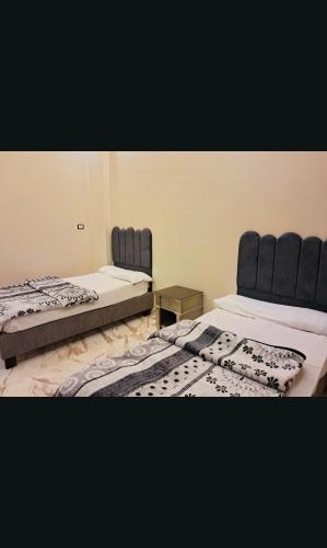 two beds sitting next to each other in a room at Nile palace apartment in Luxor