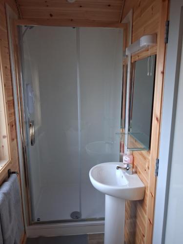 a bathroom with a shower and a sink and a toilet at Hilltop Glamping in Ardara