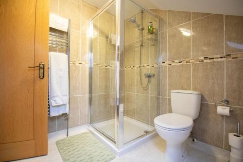 a bathroom with a toilet and a glass shower at Lovesgrove Country Guest House in Pembroke Dock