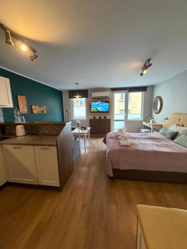 Momenti & Colori Studios