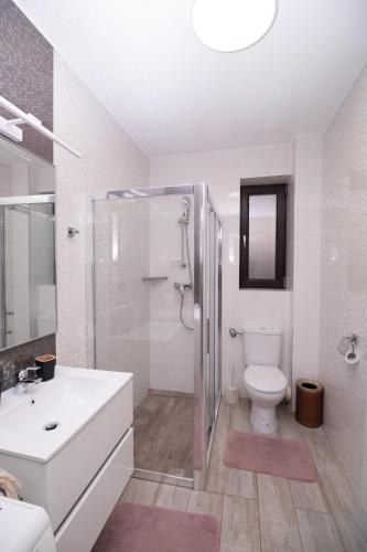 a bathroom with a shower and a toilet and a sink at White Valey Retreat One in Buşteni