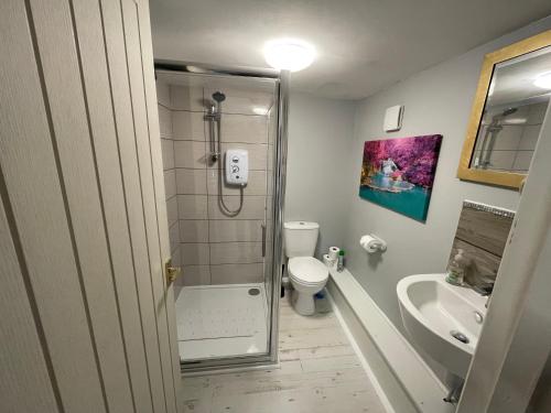 a bathroom with a shower and a toilet and a sink at The Annexe at Gomo in East Winch