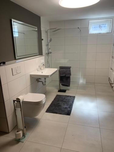 a bathroom with a toilet and a sink and a mirror at Wohnung zur Langzeitmiete geeignet in Bad Kreuznach