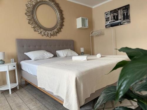 a bedroom with a bed with a mirror on the wall at Ingrid Residence in Ocna-Mureşului