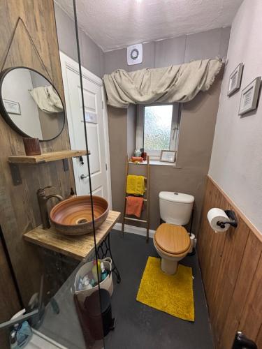 a small bathroom with a toilet and a sink at Pemberton cottage in Ingleton