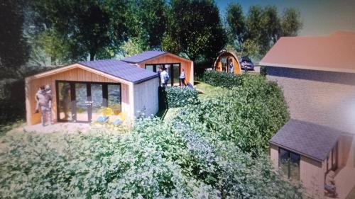 Jardí fora de Cedre bleu