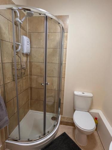 a bathroom with a shower and a toilet at Apartment 2 at 2 Bell Street in Talgarth