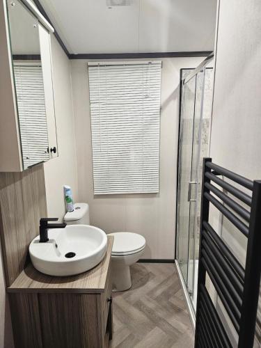 a bathroom with a sink and a toilet at Het mooiste plekje van het park in Kropswolde