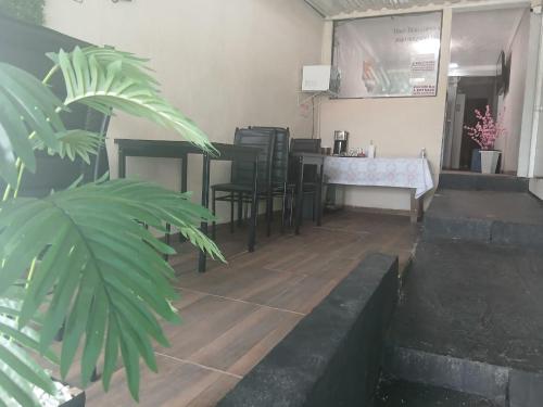 a dining room with a table and chairs and a plant at FIRMH HOSTEL CAFE DA MANHA incluso e traslado in Guarulhos