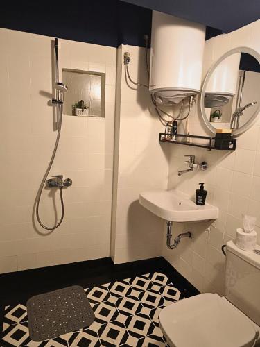 a bathroom with a shower and a toilet and a sink at Serenity and cosy Lodge, next to NDK! in Sofia