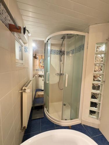 a bathroom with a shower with a glass door at Maison d Eloise in Sartrouville