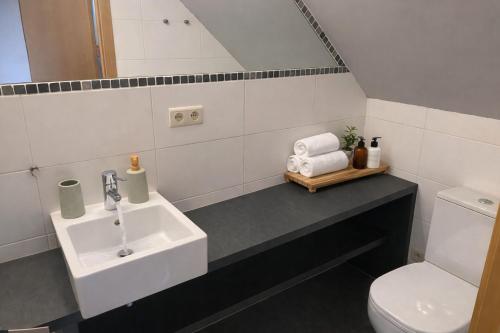 a bathroom with a sink and a toilet at Le refuge de Séve - Loft de Yves in Momignies