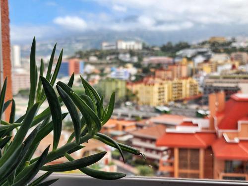 Sunrise Serenity in Puerto de la Cruz