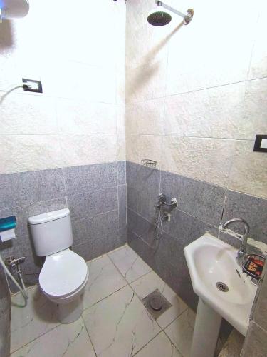 a bathroom with a toilet and a sink at Shellaly Ca Nubian Heritage House in Jazīrat Salūjah