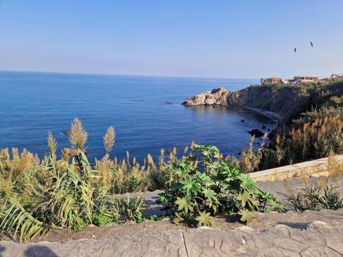 Appartement T3 Alger