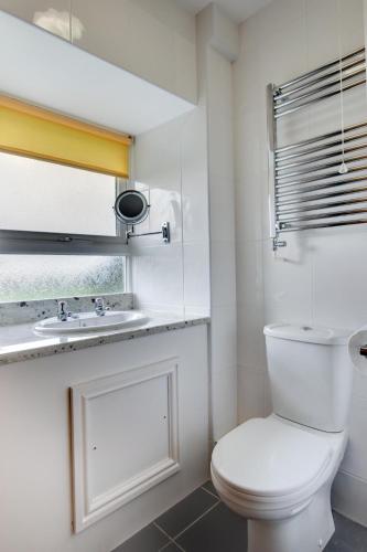 a white bathroom with a toilet and a sink at 2 Bed in Barmouth oc-wah698 in Talybont