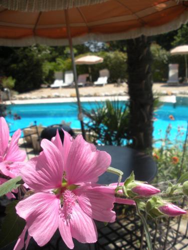 Πισίνα στο ή κοντά στο Gites Climatisés Piscine Chauffée La Balancelle