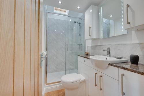 a bathroom with a shower and a toilet and a sink at 1 Bed in Llanrwst oc-wag696 in Llanrwst