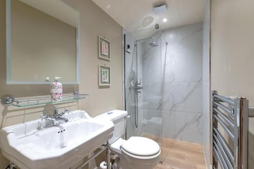 a bathroom with a toilet and a sink and a shower at 2 Bed in Brassington oc-dcgol in Brassington