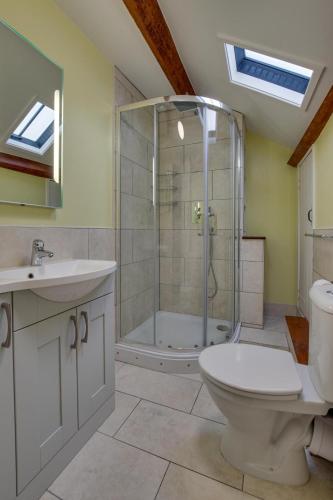 a bathroom with a shower and a toilet and a sink at 2 Bed in Barmouth oc-wah699 in Talybont