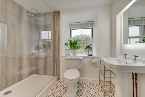 a bathroom with a toilet and a sink and a shower at 4 Bed in Brithdir oc-wag722 in Cross Foxes