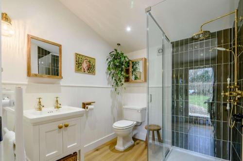 a bathroom with a shower and a toilet and a sink at 1 Bed in Wadhurst oc-tw673 in Wadhurst