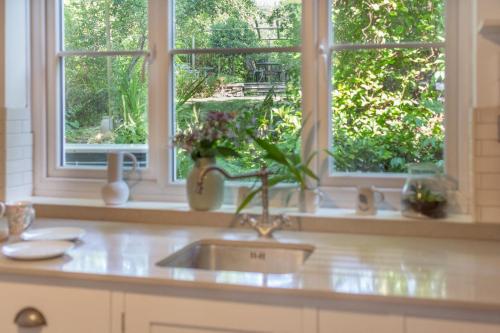 a kitchen counter with a sink and two windows at 2 Bed in Chideock oc-h29331 in Chideock
