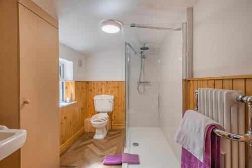a bathroom with a toilet and a shower and a sink at 2 Bed in Lowestoft oc-c31866 in Lowestoft