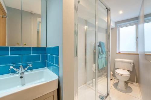 a bathroom with a sink and a toilet and a shower at 1 Bed in Lewes oc-n29713 in Lewes