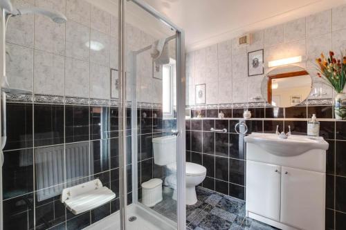 a bathroom with a shower and a toilet and a sink at 1 Bed in Robeston Wathen oc-pw9200 in Robeston Wathen