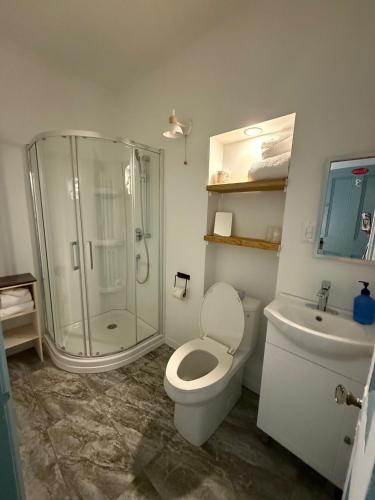 a bathroom with a shower and a toilet and a sink at Hôtel-La Grande Maison et Spa in Baie-Saint-Paul
