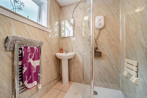 a bathroom with a shower and a sink and a toilet at 4 Bed in Lochgoilhead oc-j30107 in Carrick