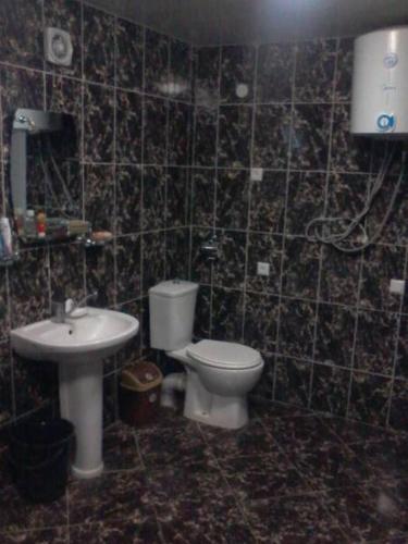 a bathroom with a toilet and a sink at Toma's vila in Borjomi