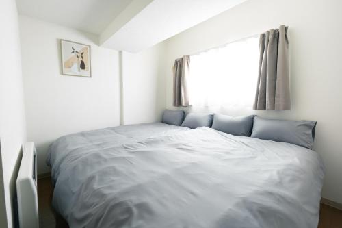 Helios Nakajima Park 707, Sapporo Susukino, 4min Sta