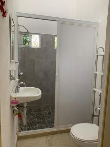a bathroom with a shower and a sink and a toilet at Casa fraccionamiento colonos Ticuman in Ticumán
