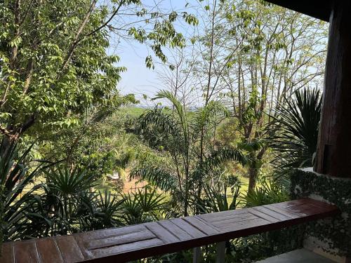 a wooden bench sitting in the middle of a forest at Rai Phuchat in Ban Pa Thon