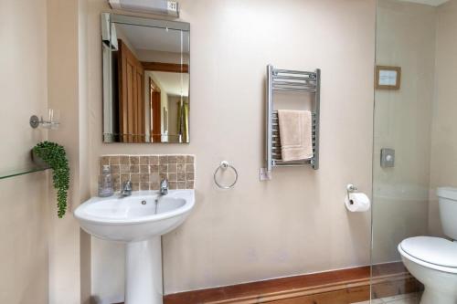 a bathroom with a sink and a toilet and a mirror at 1 Bed in Swannington oc-1011 in Alderford