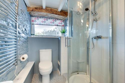 a bathroom with a toilet and a glass shower at 1 Bed in Totnes oc-bcbove in Broadhempston