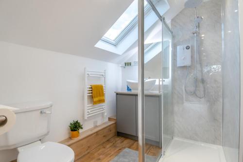 a bathroom with a shower and a toilet and a sink at 1 Bed in Tasburgh oc-t28242 in Ashwellthorpe