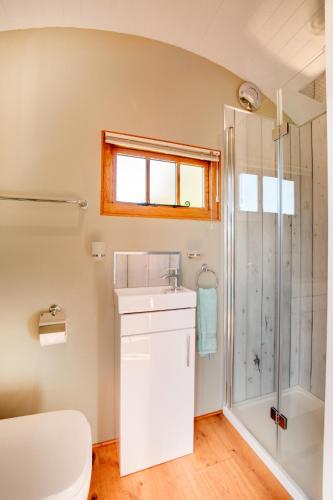 a bathroom with a shower and a sink at 1 Bed in Cove oc-cloudm in Bampton
