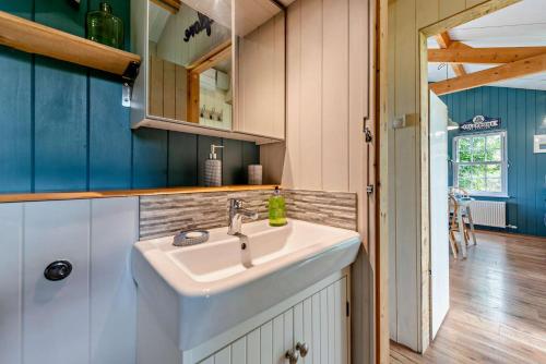 a bathroom with a white sink and blue walls at 1 Bed in Dre-Fach Felindre oc-a29876 in Felindre