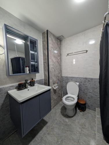 a bathroom with a toilet and a sink and a mirror at Gari's apartment next to Borjomi Central Park in Borjomi