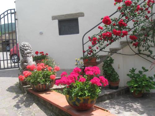 a group of flowers in pots on a ledge at B&B Casa Delle Rose in Antria