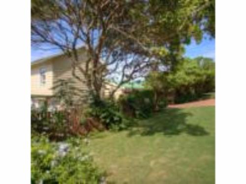 a house with a tree in front of a yard at Dunwerkin Self Catering in Kenton on Sea