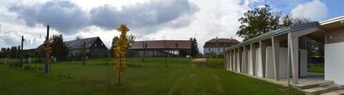 a small tree in a field next to a building at Bagolyvár Fogadó- Újfalusy Márton Vendégház in Zirc