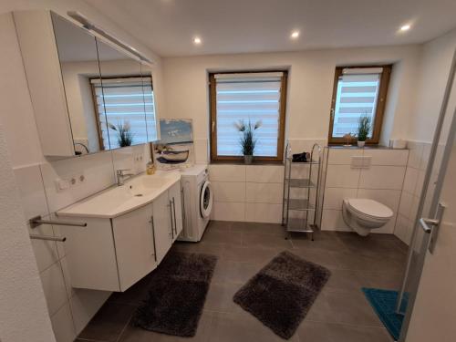a bathroom with a sink and a toilet and a mirror at Im Idyll 3 in Hengersberg