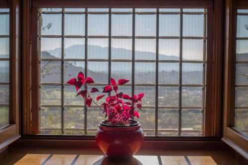 a vase with red flowers in front of a window at Palazzo Tronconi agriturismo in Arce