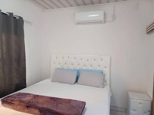 una camera da letto con un letto bianco con due cuscini blu di Yadah Accommodations a Lothlekane