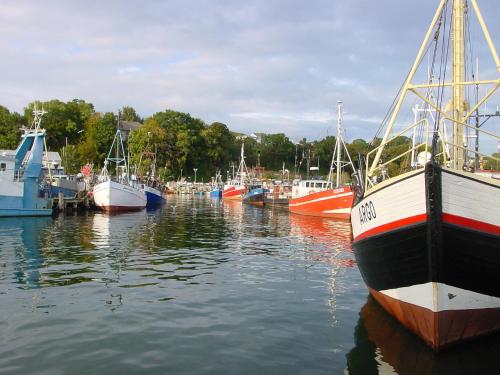 a group of boats are docked in a harbor at Ferienwohnung Frömming in Sassnitz
